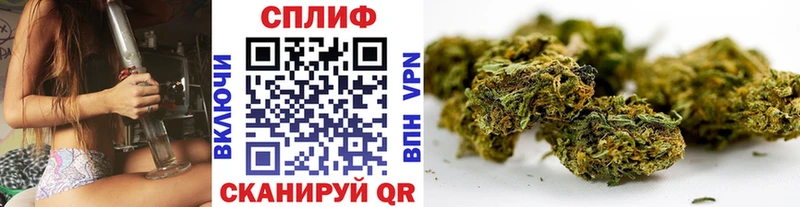 Бошки марихуана сатива  наркошоп  площадка состав  Солигалич 